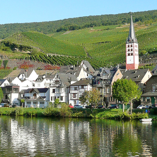 Wein Riesling Mosel